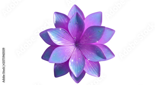 Purple flower with dew drops on petals, Close-up shot