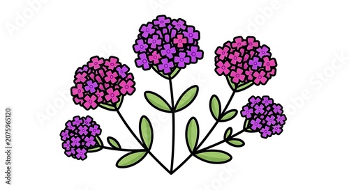 Purple wisteria flowers blooming on green vine.