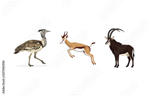 Bild auf Leinwand Set of Three Diverse African Wildlife Animals Featuring Bustard Gazelle and Ante