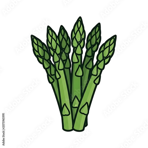 Fresh green broccoli florets isolated on white.