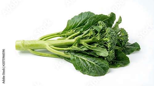 Fresh green broccoli bunch on white background.