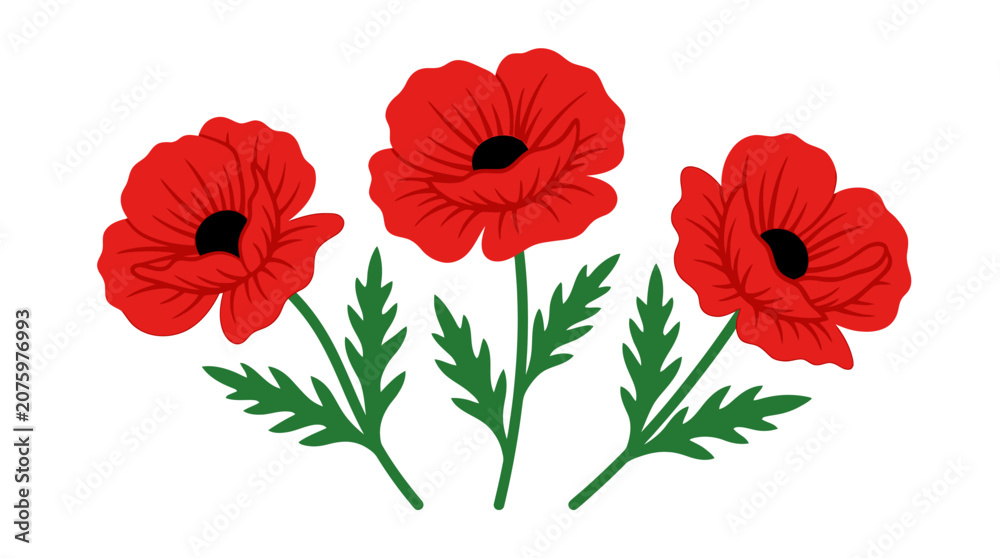 Obraz premium Three red poppy flowers with green stems and leaves