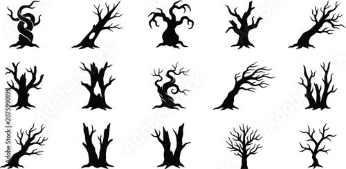 Tableau sur toile Black and white of various plants and flowers leaf stem botanical