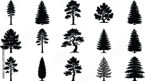 Foto Set of black silhouettes of different evergreen coniferous trees.