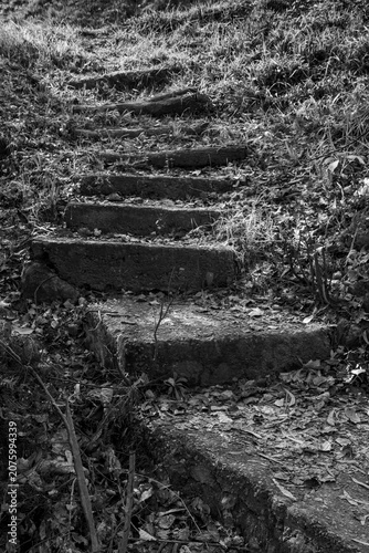 Monochrome image of old concrete steps leading up a grassy embankment image in vertical format for background use