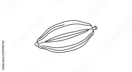Papaya fruit line art, simple drawing on white background