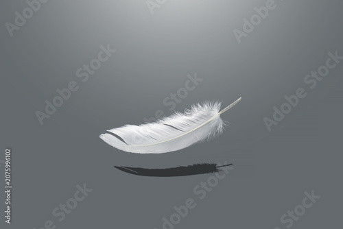 White Bird feathers falling in the dark. fluffy downy. feathers on gray. symbol of freedom and peace. softness of feathers falling in heavenly.