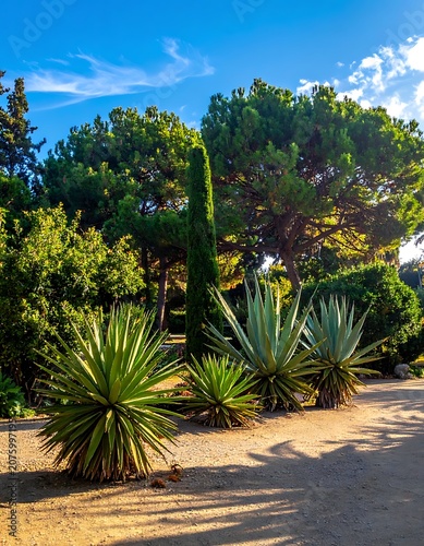 A serene garden scene with various green plants and trees