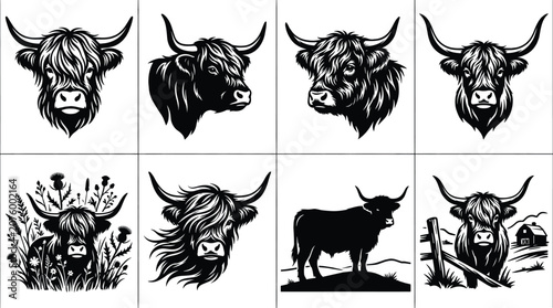 Canvas Print Black silhouette vector illustrations of Highland cattle heads and full-body des