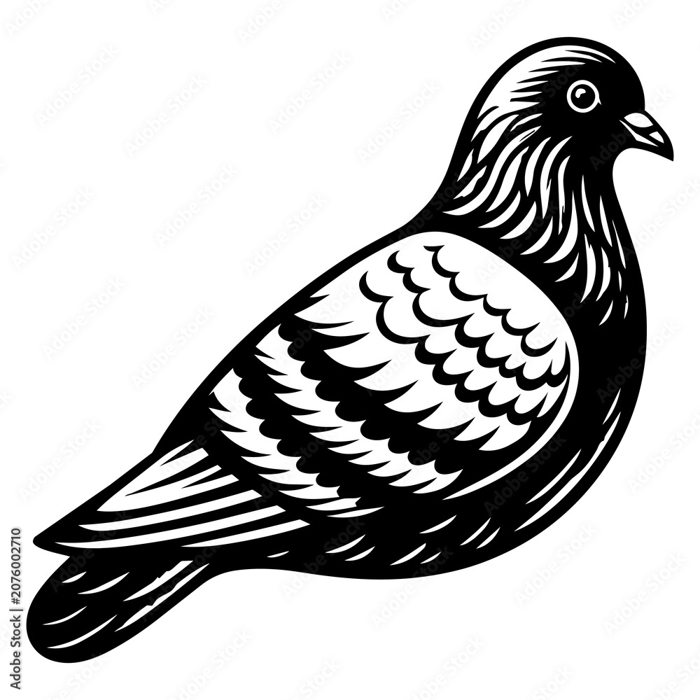 Fototapeta premium Vintage pigeon woodcut illustration, black and white bird linocut art, stylized dove graphic for nature branding and logo design