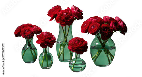 A collection of vibrant red peony flowers arranged in various glass vases