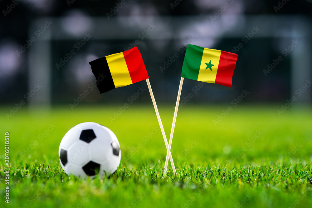 Obraz premium Belgium vs Senegal, national flags before international football tournament Round of 32 match, football on green grass with goal in the background, Seattle, Washington, USA, July 1, 2026