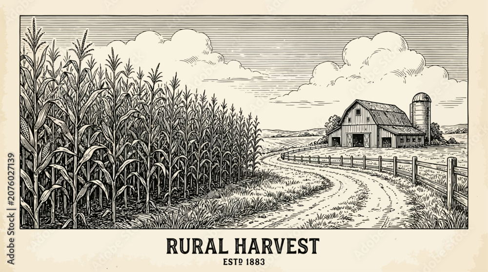 Fototapeta premium Antique vintage engraving illustration of a lush cornfield growing beside a dusty rural farm road leading toward a distant horizon in a scenic pastoral countryside landscape scene