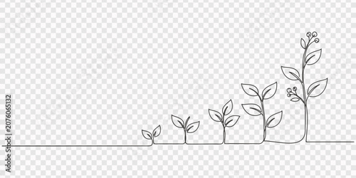 Foto Continuous one line drawing growing plant
