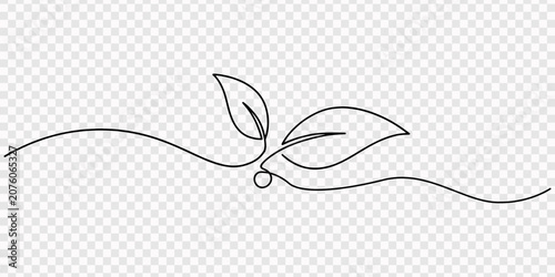 Tableau sur toile One continuous line leaf