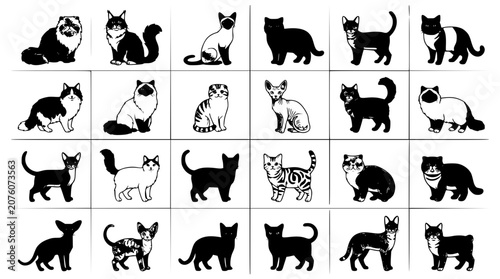 Foto Cute Cat Breeds Cartoon Vector Collection with Popular Domestic Feline Types