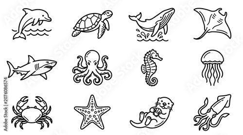 Photography Sea Creatures Ocean Animals Illustration Set.