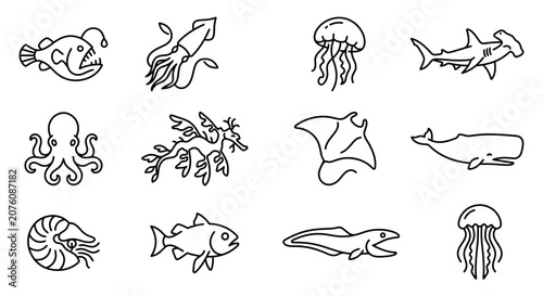 Obraz na plátne Collection of various sea creatures 2.