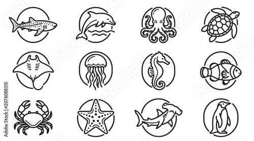 Photography Sea creatures icons set marine animals 5.
