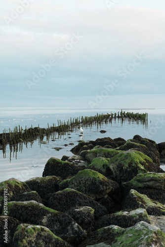 Картината върху платно Soirée calme sur la plage Berck-sur-Mer dans le Pas-de-Calais en France