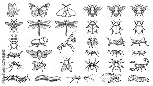 Bild auf Leinwand Minimalist insect line art icons, set of 30 black and white bug vector illustrat