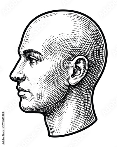 Foto A detailed black and white engraving style of a bald man's head in profile view