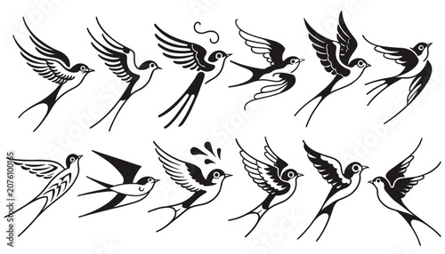 Elegant black and white swallows in flight illustration.