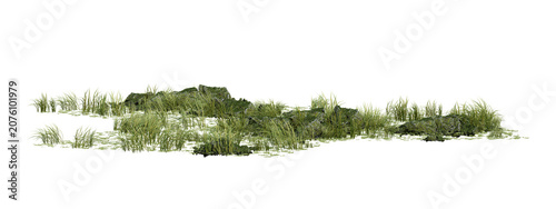 Foto 3d  Render Of Lush Green Grass And Dense Vegetation With Delicate Blades On Tran