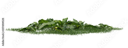 Isolated Green Grass And Leafy Vegetation On Transparent Background, 3D Plant Model With Foliage
