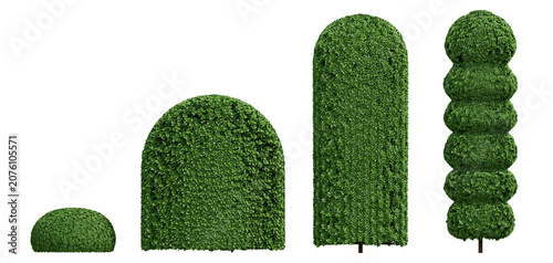 Three Dimensional Render Of 3d Boxwood Green Plant Topiary Plants In Varied Shapes On Transparent Background