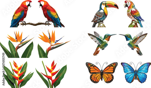 Foto Tropical birds and exotic flowers vector set with scarlet macaw toucan hummingbi
