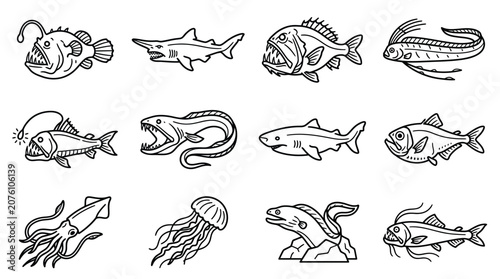 Photography Various Types of Fish and Sea Creatures 1.