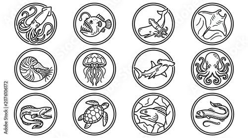 Photography Black and white sea animal icons.