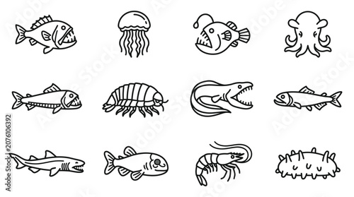 Foto Various sea creatures illustrations 4.