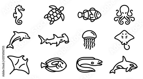 Marine animals line art illustrations set.