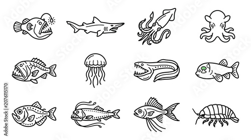 Foto Fish and sea creatures illustrations.