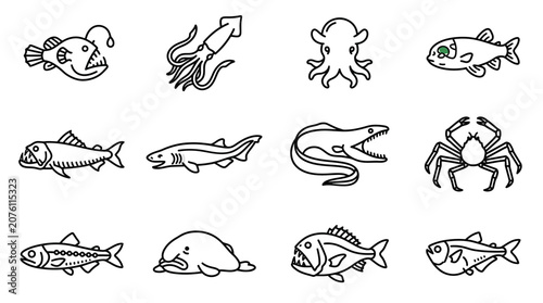 Obraz na plátne Fish and sea creatures illustrations 3.