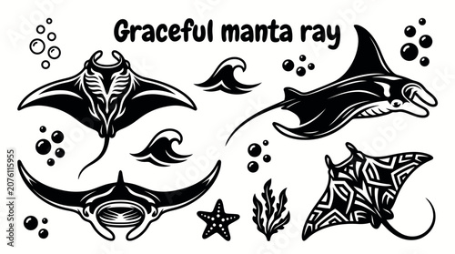 Bild auf Leinwand Graceful manta ray vector collection isolated for marine biology, ocean wildlife, underwater world, and sea life education concepts