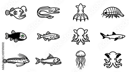 Schilderij op canvas Various types of fish and sea creatures.