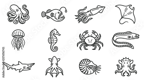 Foto Various Sea Creatures Black and White.