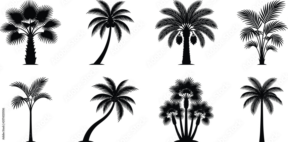 Fototapeta premium Black and white palm tree silhouette collection featuring tropical and exotic species variations