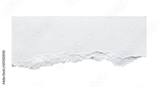 A long rectangular strip of torn white paper with a rough ripped edge for design projects