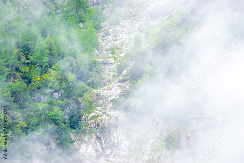 Konstfotografi Nebel schafft eine fast monochrome Landschaft.