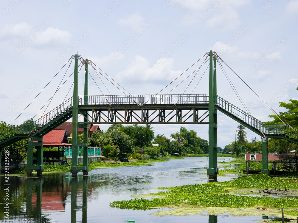 Fototapeta premium A green steel cable stayed pedestrian bridge spans a canal choked with water hyacinth and green algae under a cloudy sky.