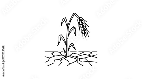 Drought-stricken plant growing in cracked dry earth, agriculture concept illustration