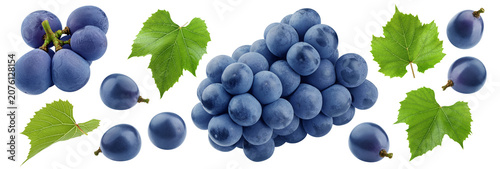 Bild auf Leinwand purple or blue Grape, isolated, full depth of field