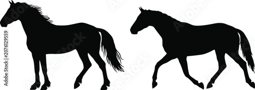 Foto Black silhouette of two horses galloping under a full moon night sky