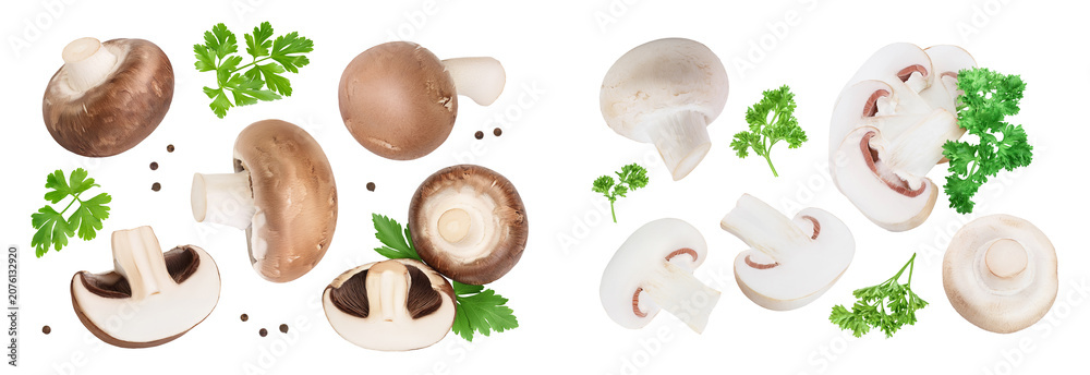 Obraz premium Royal Brown and white champignon isolated on white background. Top view. Flat lay