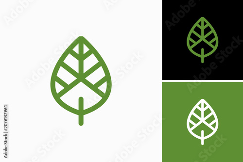 Leaf Home Vector Logo Premium 