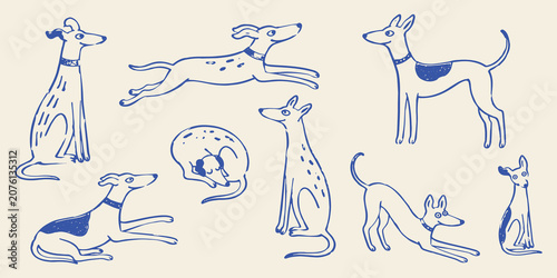 Foto Greyhound Dog Poses Hand Drawn Vector Illustration